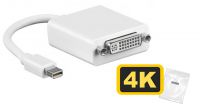 Adaptador mini DisplayPort 1.2 Macho a DVI Hembra Gris