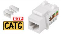 Keystone RJ45 90° UTP Cat.6 - Branco