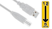 Cable USB 2.0 Tipo A-B Gris - Para Conexión de Impresoras y Periféricos